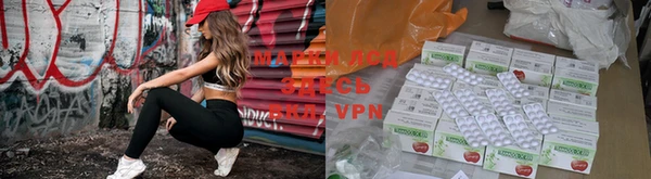 a pvp Новодвинск