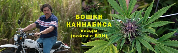 PSILOCYBIN Нея