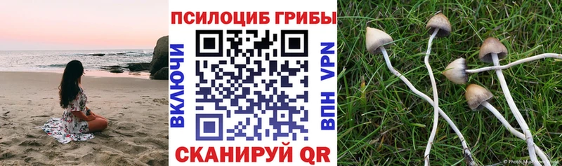 Галлюциногенные грибы MAGIC MUSHROOMS  Туринск 